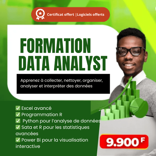 formation data analyste